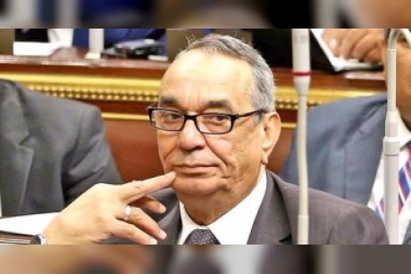 البرلماني المصري يحيى كدواني