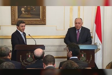 وزيرا الخارجية المصري والإماراتي