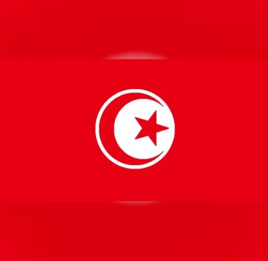Qatari-funded Ikhwan penetrates Tunisia’s education