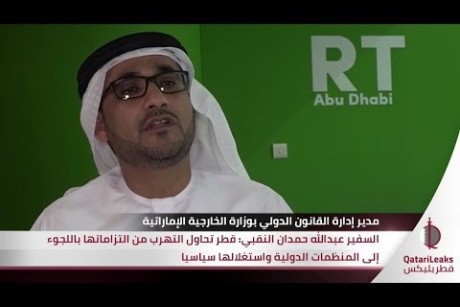 مسؤول إماراتي: قطر اعترفت بانتهاكها حقوق مواطنيها أمام المحاكم الدولية