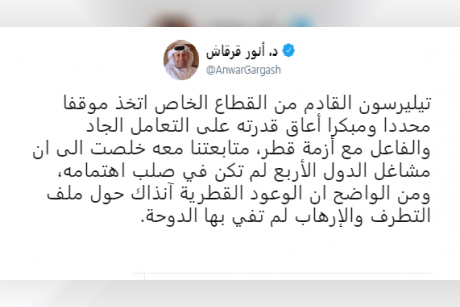 قرقاش: تيلرسون لم يتعامل بجدية مع أزمة قطر