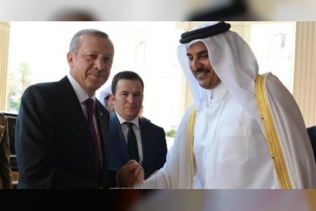 موقع أميركي يكشف أهداف أردوغان من زيارة "تميم"